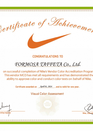 Nike VCA_Visual Color Assessment_FTC