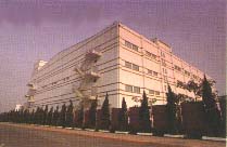 �����Ƽ�