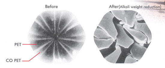 FTC_Microfeel_photo04